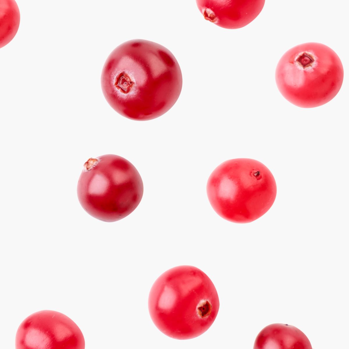 Arctostaphylos Uva-Ursi Bearberry Extract - DermaQuest Clinical Ingredient