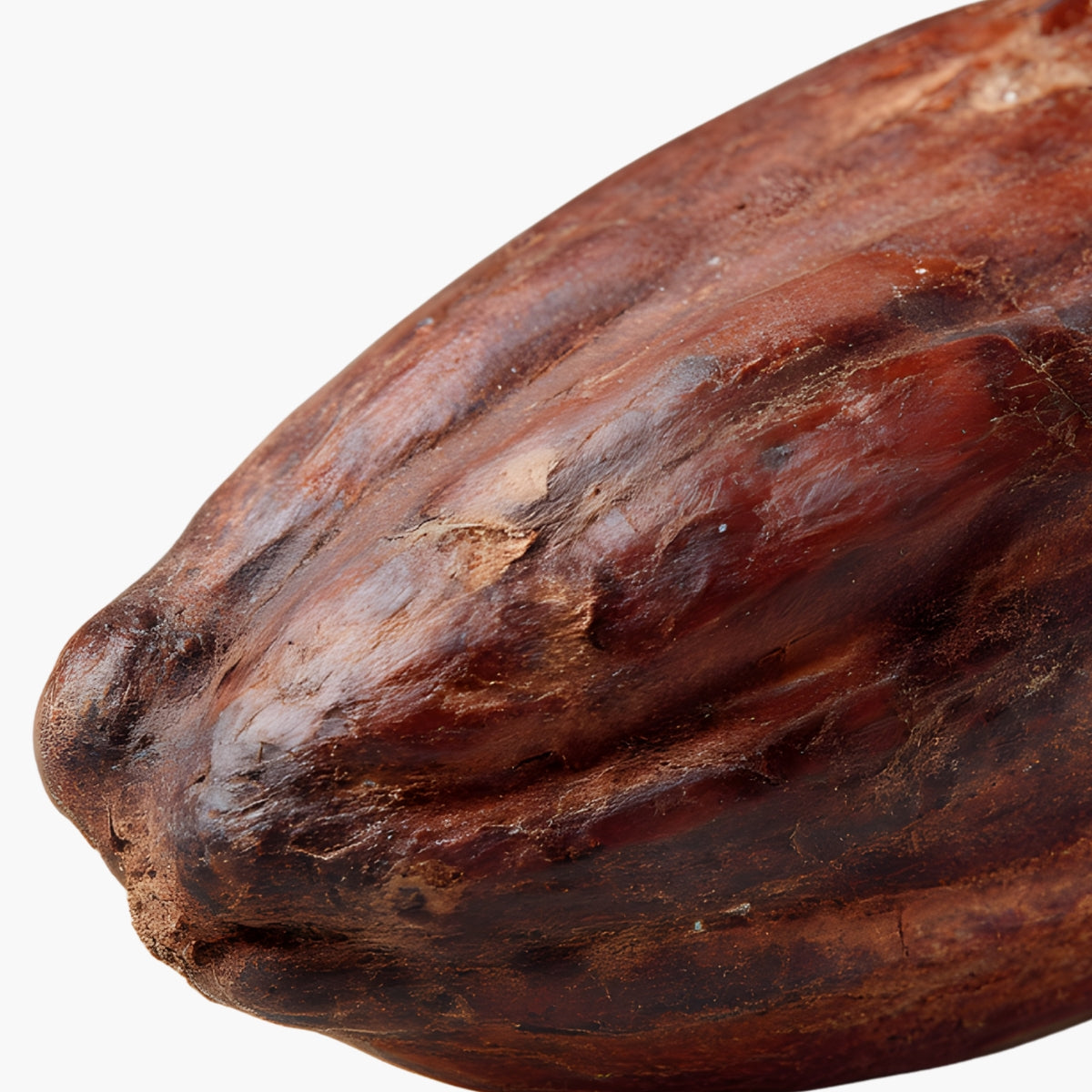 Butyrospermum Parkii Shea Nut Extract - DermaQuest Clinical Ingredient