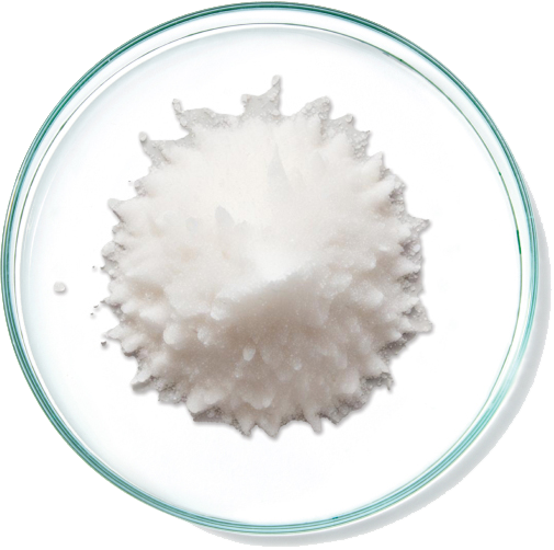 Cultibiota