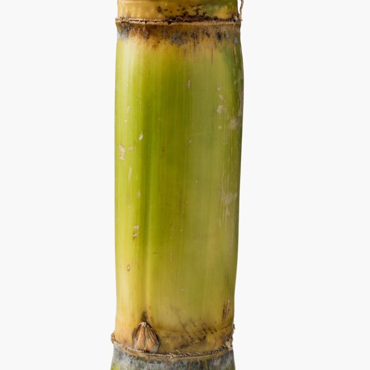 Glycolic Acid - DermaQuest Clinical Ingredient