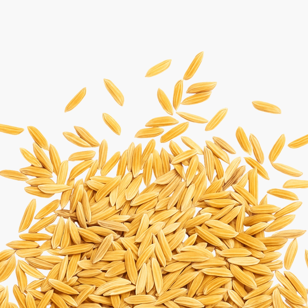 Meadowfoam Seed Oil - DermaQuest Clinical Ingredient