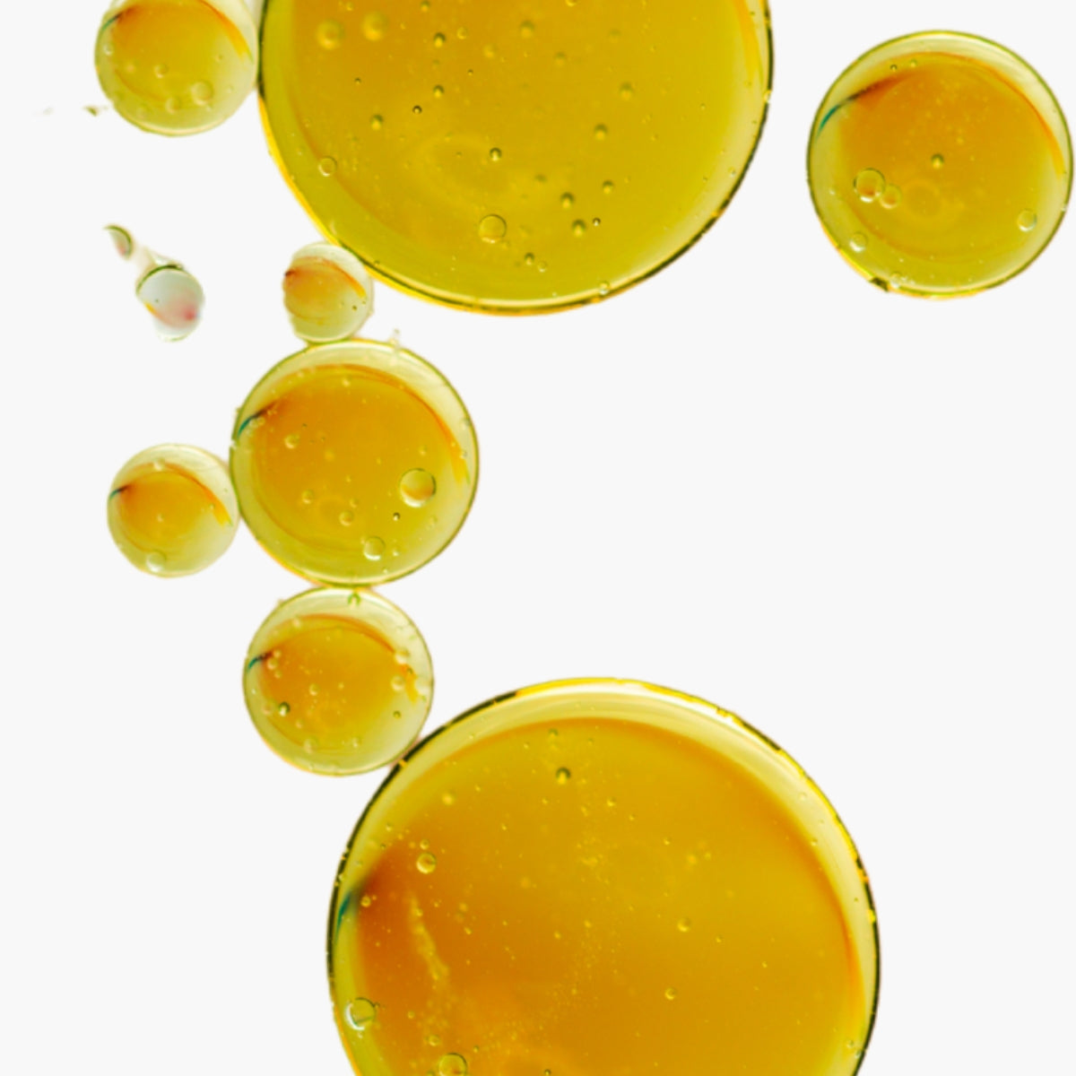 Micrococcus Lysate - DermaQuest Clinical Ingredient