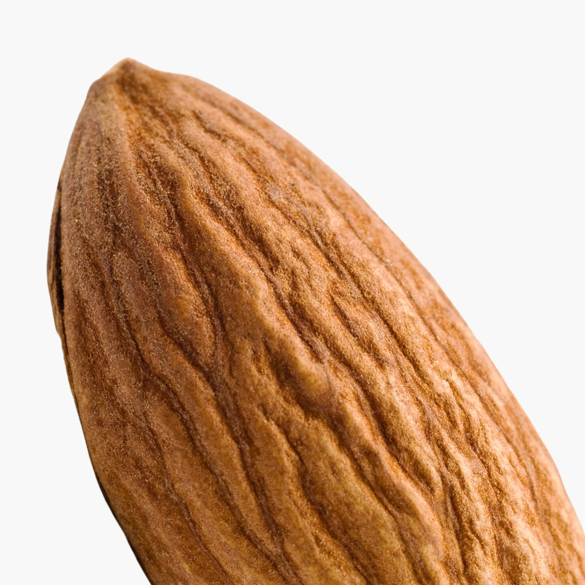 Sweet Almond Oil - DermaQuest Clinical Ingredient