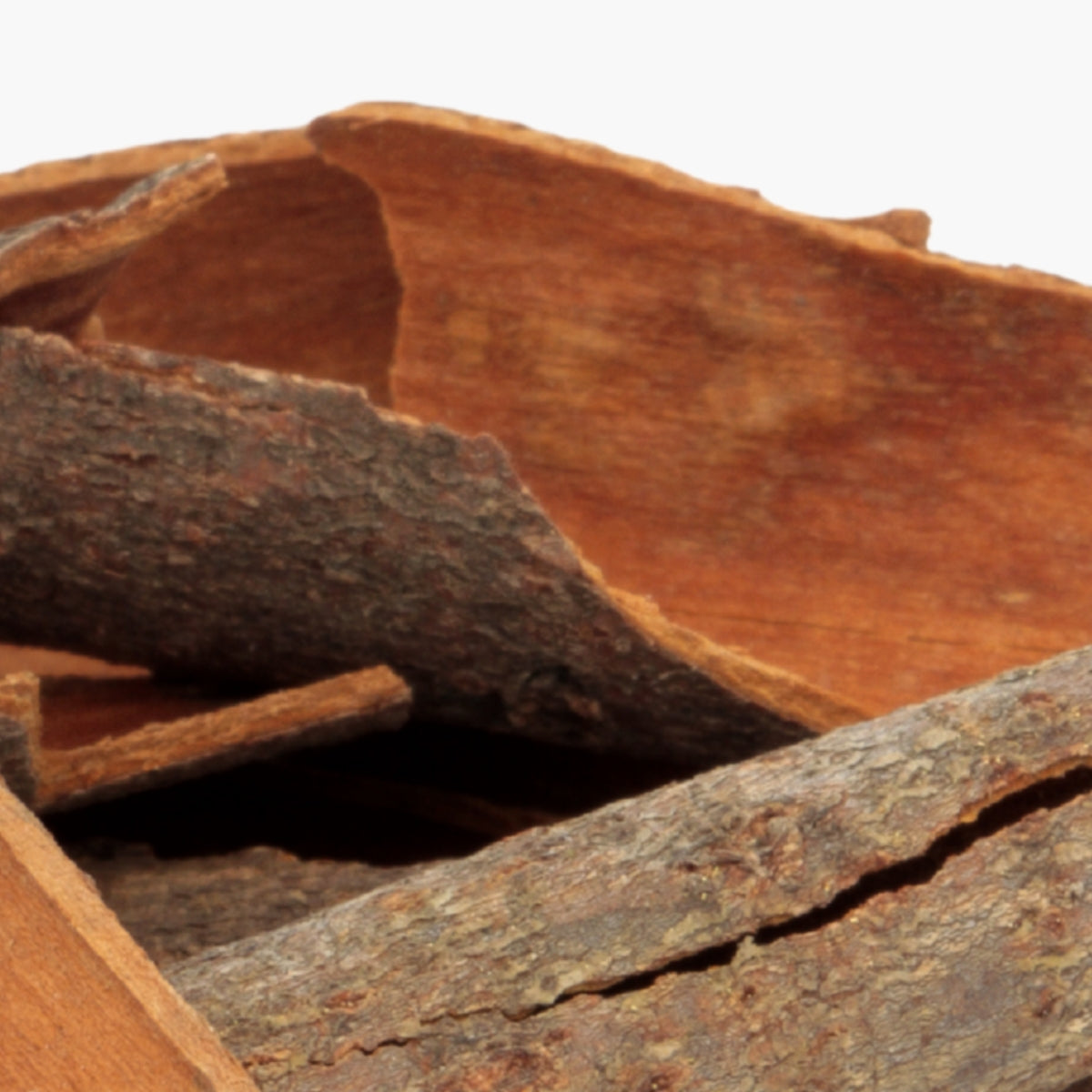 Willow Bark Extract - DermaQuest Clinical Ingredient