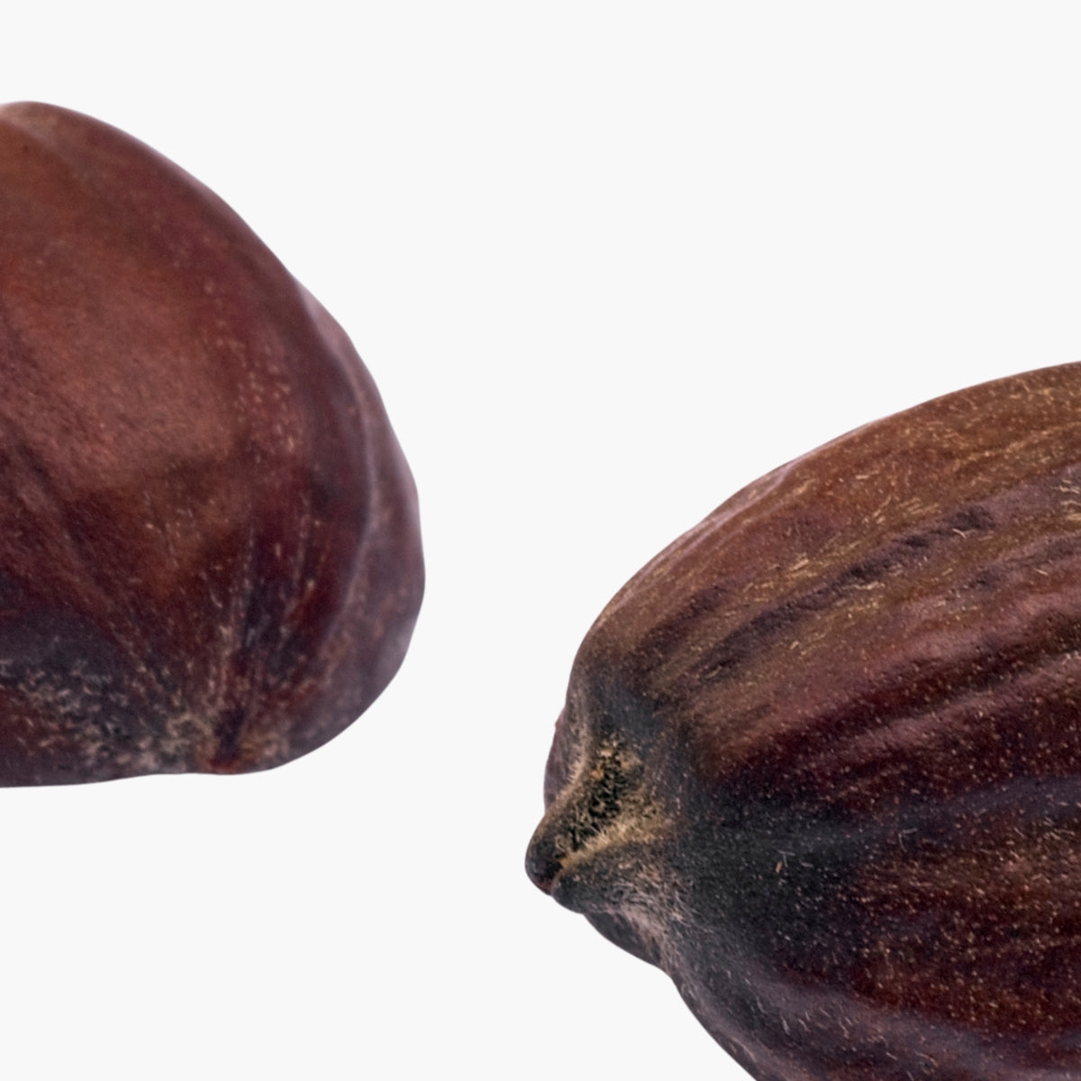 Jojoba - DermaQuest Clinical Ingredient