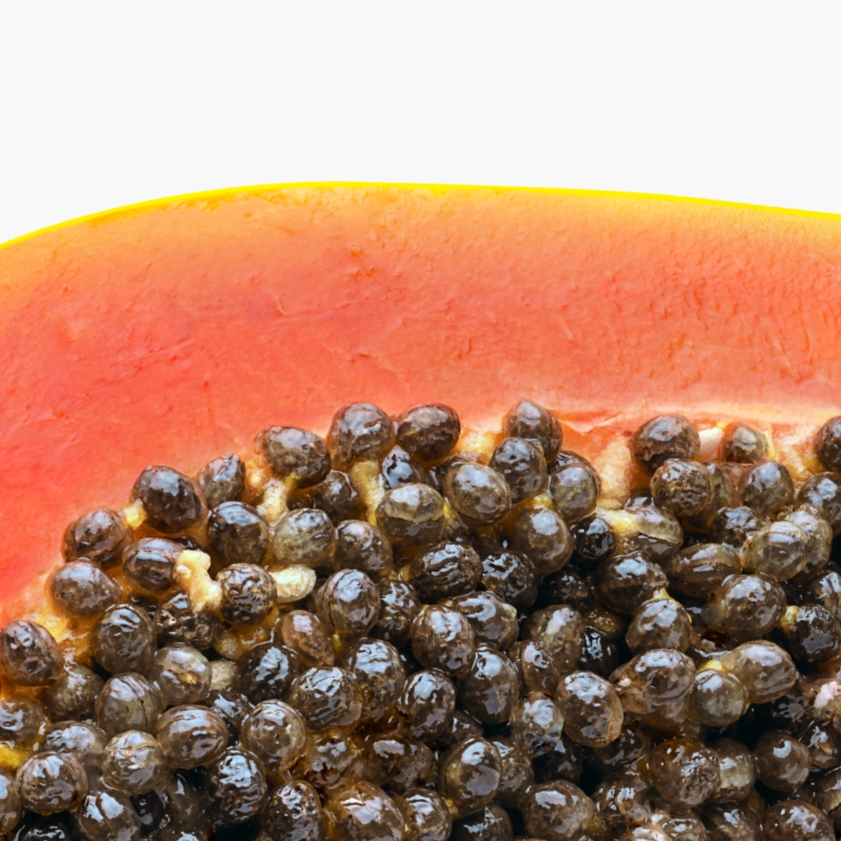 Papaya and Pineapple Enzymes - DermaQuest Clinical Ingredient