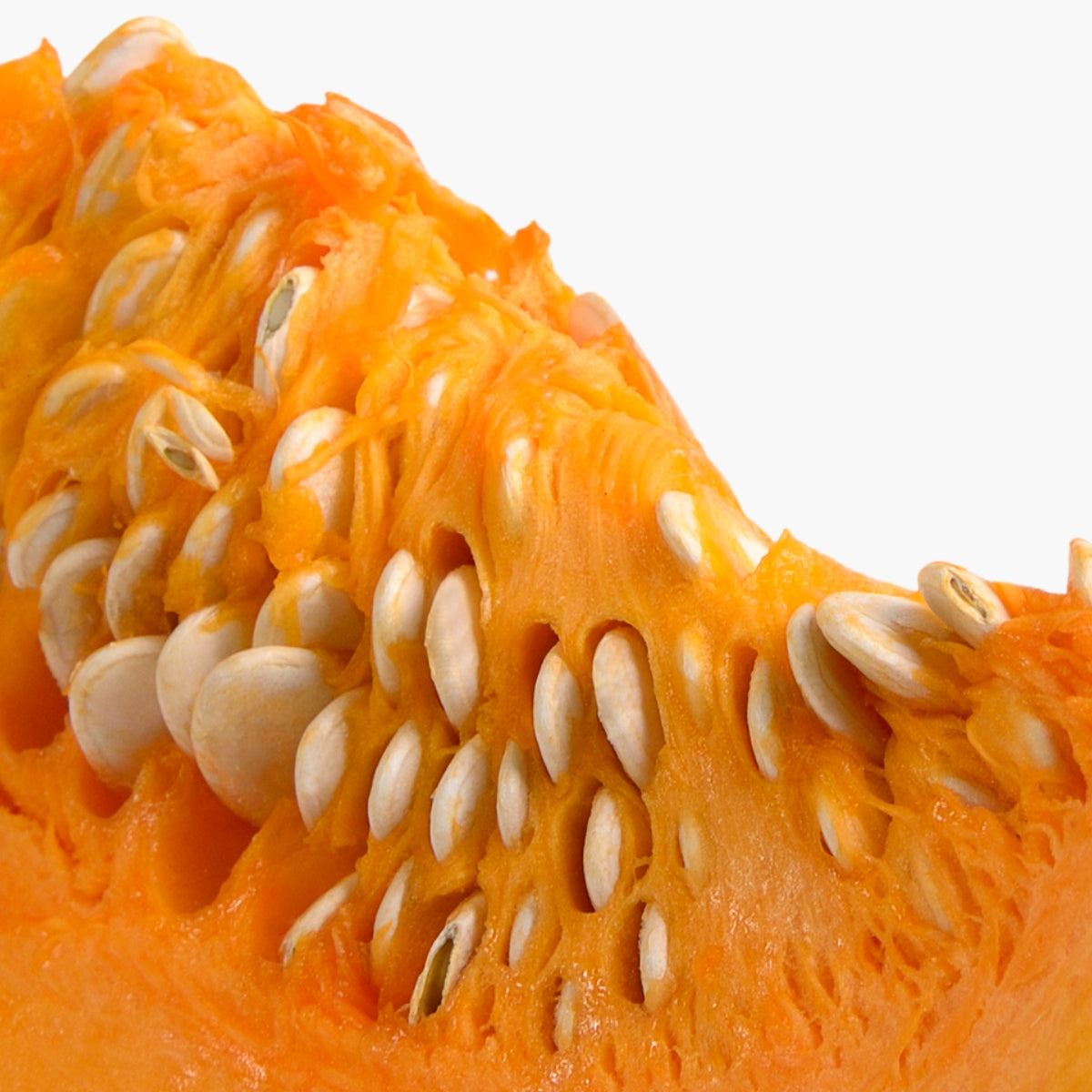 Pumpkin Pulp - DermaQuest Clinical Ingredient